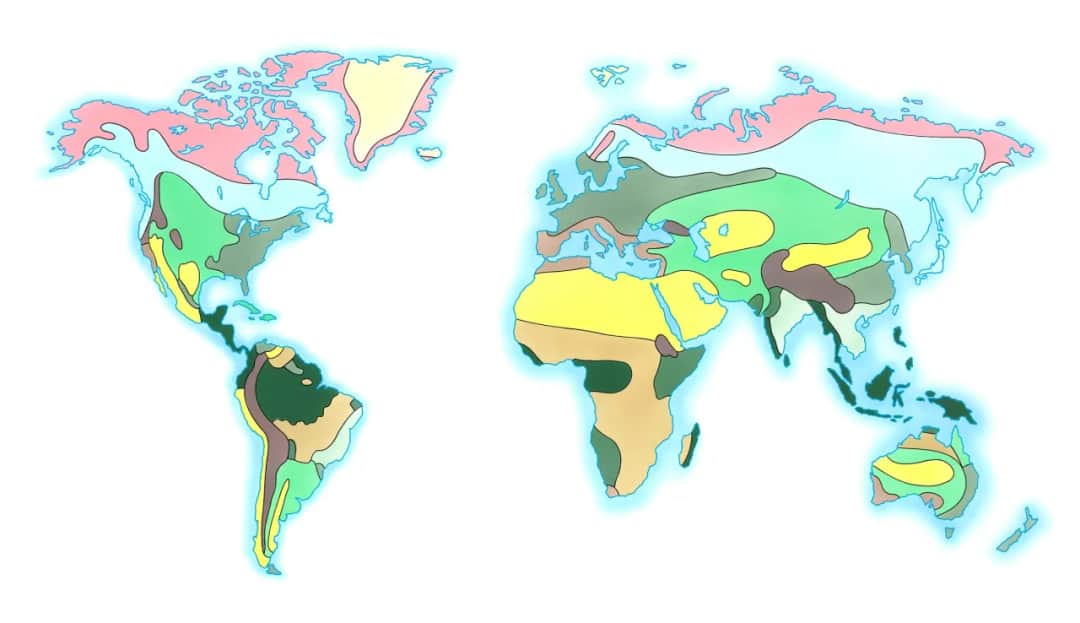 Jaki jest klimat w Afryce? Odkryj niezwykłe różnice i zjawiska