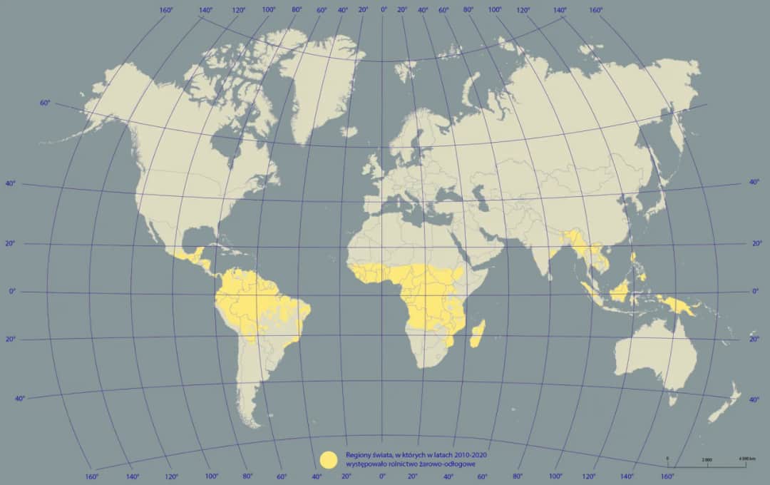 Gdzie w Afryce stosuje się rolnictwo żarowo odłogowe i dlaczego?