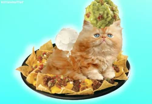 Gdzie kupić guacamole? Sprawdź najlepsze sklepy i oferty w Polsce