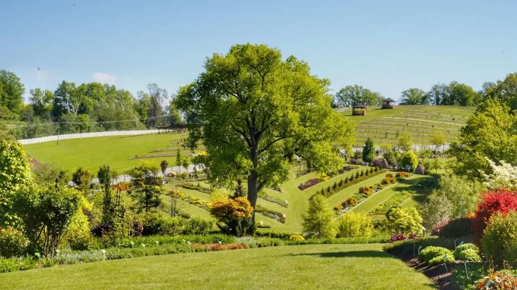 Kiedy jechać do arboretum Wojsławice, aby nie przegapić piękna?