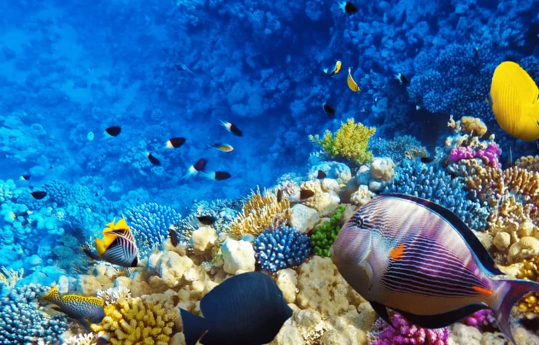 Ile trwa lot do Egiptu z Wrocławia? Czas i ważne informacje podróżne